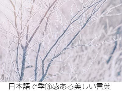 日本語で季節感ある美しい言葉